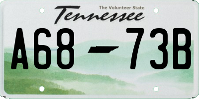 TN license plate A6873B