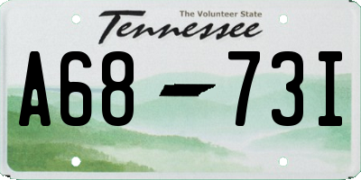 TN license plate A6873I