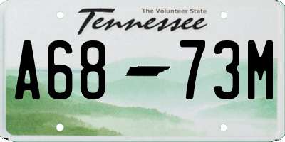 TN license plate A6873M