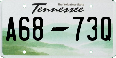 TN license plate A6873Q