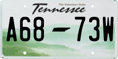TN license plate A6873W