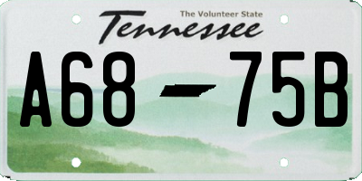 TN license plate A6875B