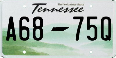 TN license plate A6875Q