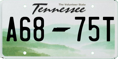 TN license plate A6875T