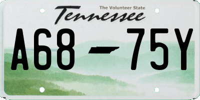 TN license plate A6875Y