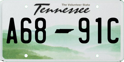 TN license plate A6891C