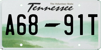 TN license plate A6891T