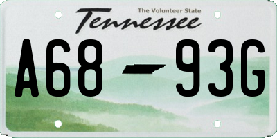 TN license plate A6893G