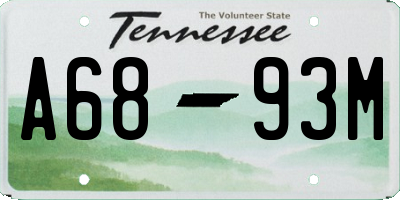 TN license plate A6893M