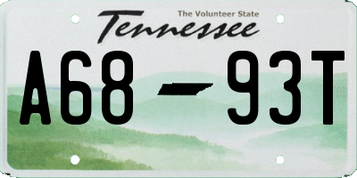 TN license plate A6893T