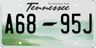 TN license plate A6895J