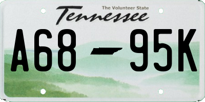 TN license plate A6895K