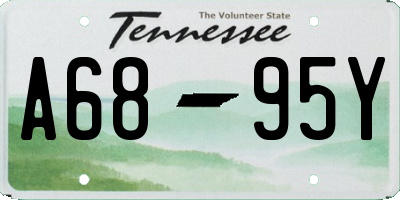 TN license plate A6895Y