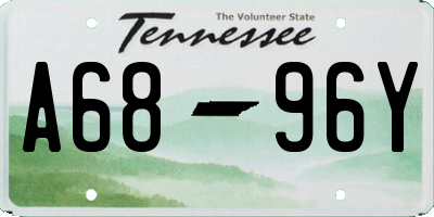 TN license plate A6896Y