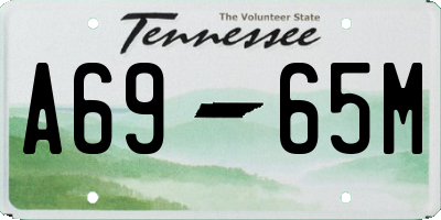 TN license plate A6965M
