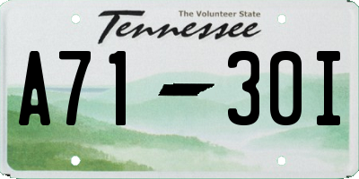 TN license plate A7130I