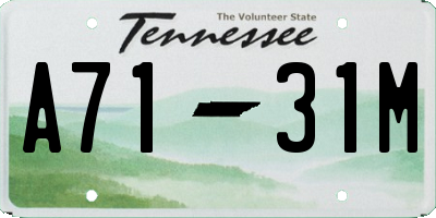 TN license plate A7131M