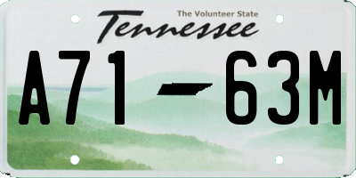 TN license plate A7163M