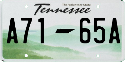 TN license plate A7165A