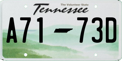 TN license plate A7173D