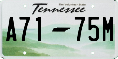 TN license plate A7175M