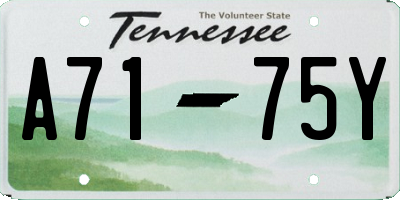 TN license plate A7175Y