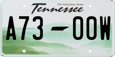 TN license plate A7300W