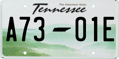 TN license plate A7301E