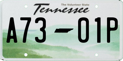 TN license plate A7301P