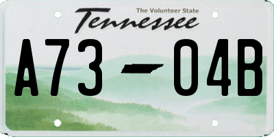 TN license plate A7304B