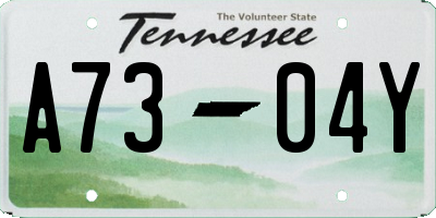 TN license plate A7304Y