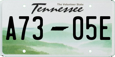 TN license plate A7305E