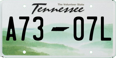 TN license plate A7307L