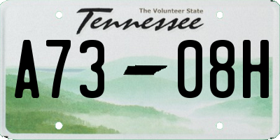 TN license plate A7308H