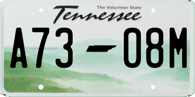 TN license plate A7308M