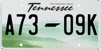 TN license plate A7309K