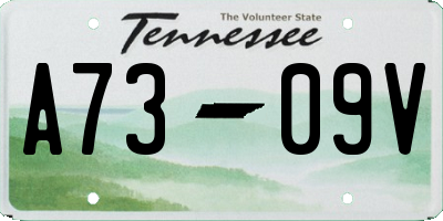 TN license plate A7309V