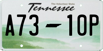 TN license plate A7310P
