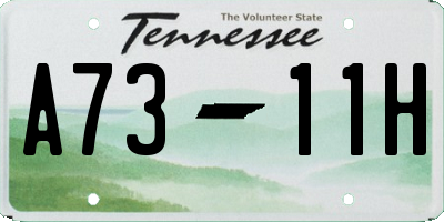 TN license plate A7311H