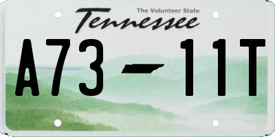 TN license plate A7311T