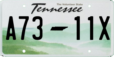 TN license plate A7311X