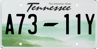 TN license plate A7311Y
