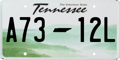 TN license plate A7312L