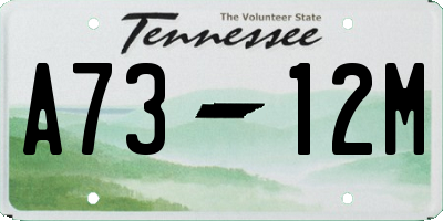 TN license plate A7312M