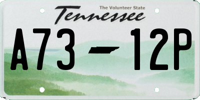 TN license plate A7312P