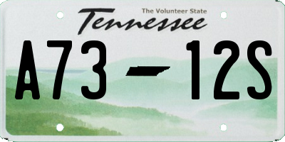 TN license plate A7312S