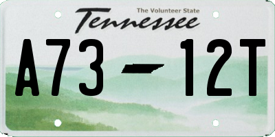 TN license plate A7312T