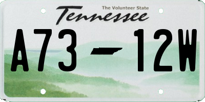 TN license plate A7312W