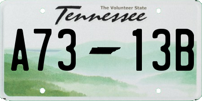 TN license plate A7313B
