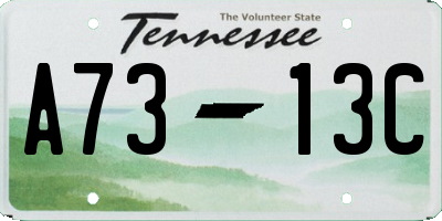 TN license plate A7313C